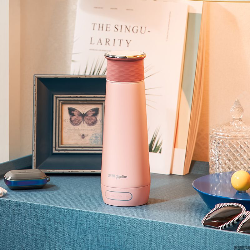 东菱便携烧水壶DL-B1