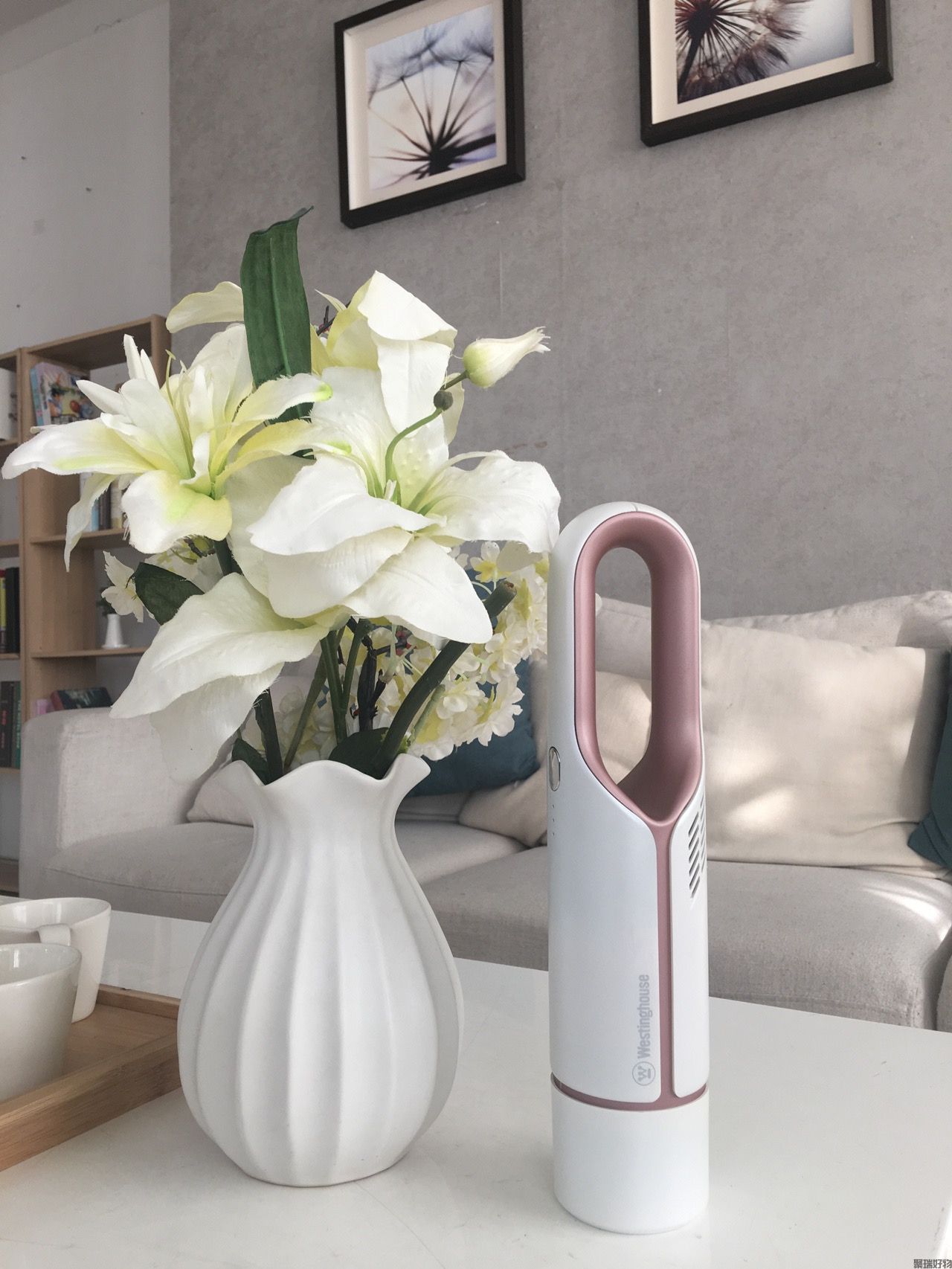 西屋吸尘器WXC-10A/11A